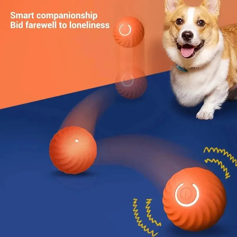 SmartPaw Ball