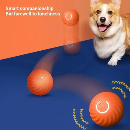 SmartPaw Ball