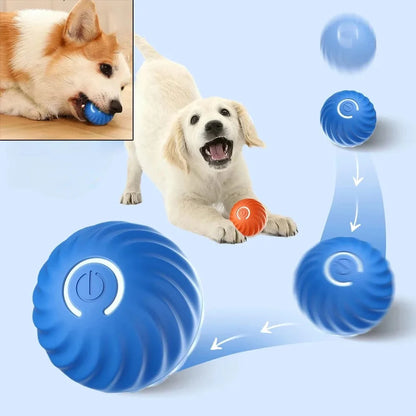 SmartPaw Ball