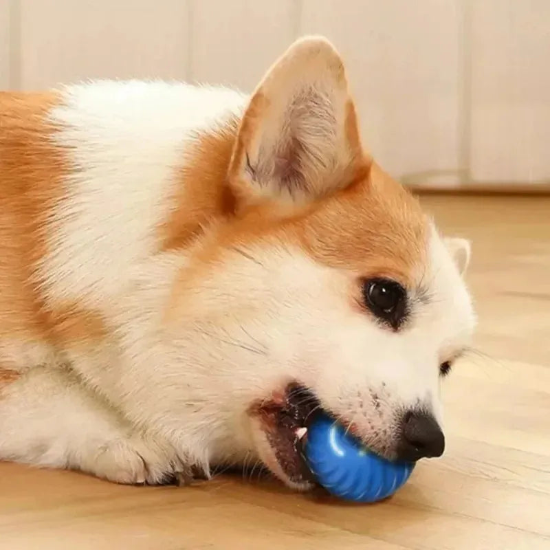 SmartPaw Ball