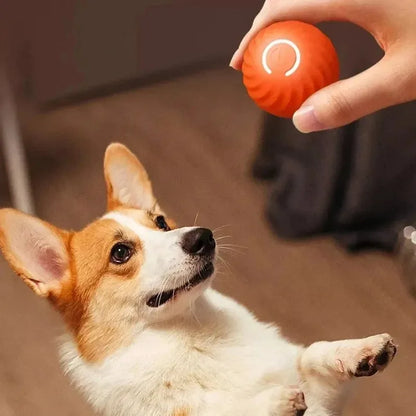 SmartPaw Ball