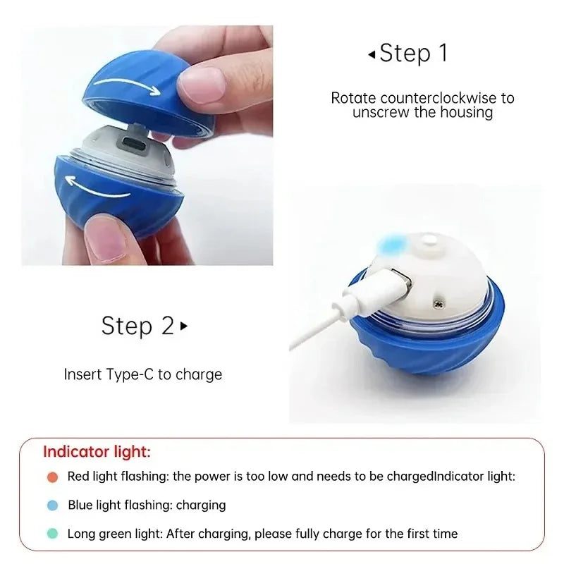 SmartPaw Ball