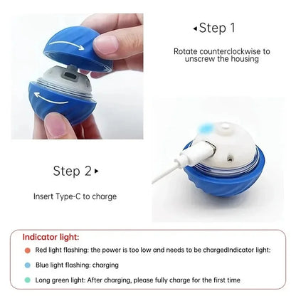 SmartPaw Ball